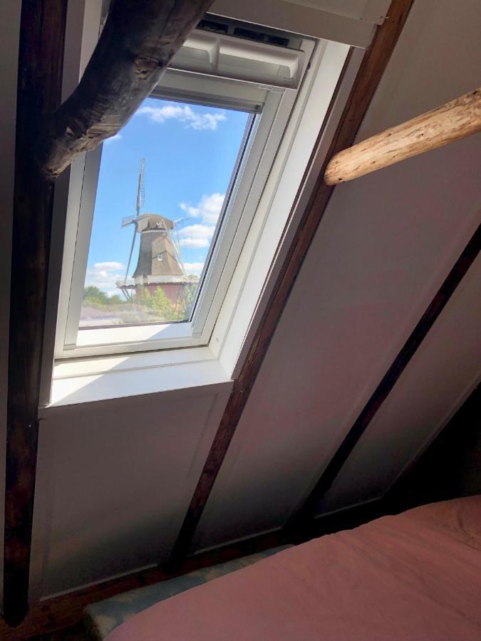 Tiny House De Smederij Villa Peize Eksteriør billede